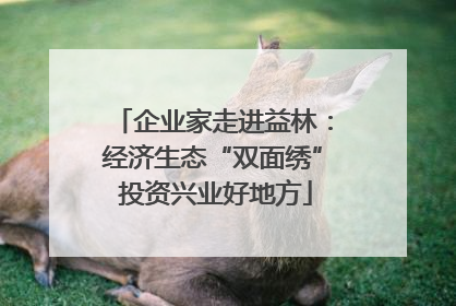 企业家走进益林：经济生态“双面绣” 投资兴业好地方