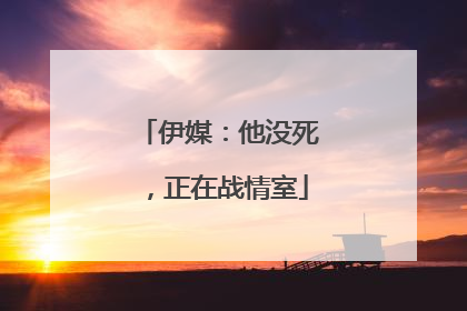 伊媒：他没死，正在战情室