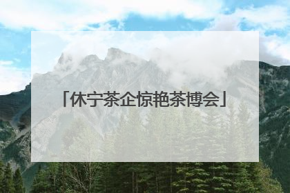 休宁茶企惊艳茶博会