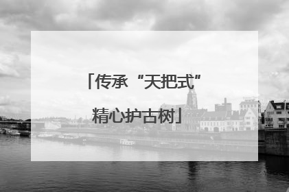 传承“天把式” 精心护古树