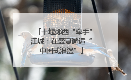 十堰郧西“牵手”江城：在盛夏邂逅“中国式浪漫”