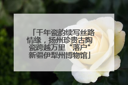 千年瓷韵续写丝路情缘，扬州珍贵古陶瓷跨越万里“落户”新疆伊犁州博物馆