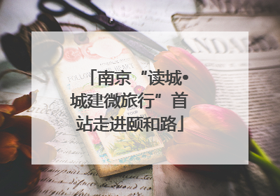 南京“读城•城建微旅行”首站走进颐和路