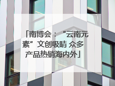 南博会：“云南元素”文创吸睛 众多产品热销海内外