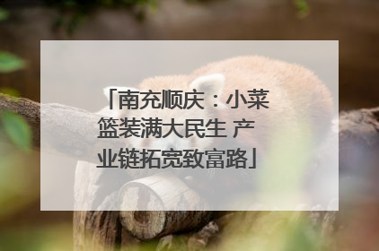 南充顺庆：小菜篮装满大民生 产业链拓宽致富路