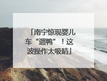 南宁惊现婴儿车“遛鸭”！这波操作太吸睛