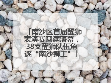 南沙区首届醒狮表演赛圆满落幕，38支醒狮队伍角逐“南沙狮王”