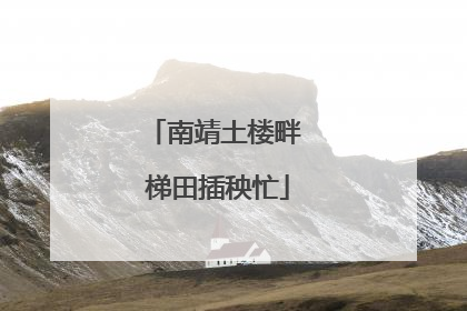 南靖土楼畔 梯田插秧忙