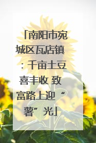 南阳市宛城区瓦店镇：千亩土豆喜丰收 致富路上迎“薯”光