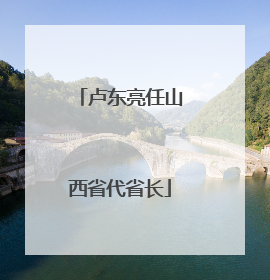 卢东亮任山西省代省长