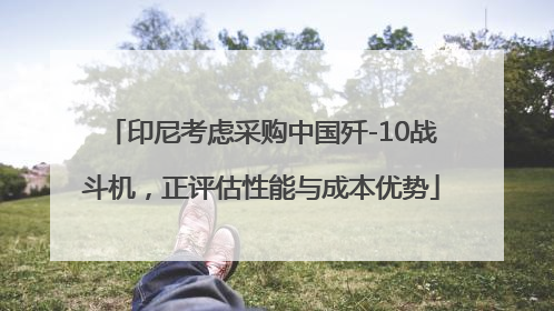 印尼考虑采购中国歼-10战斗机，正评估性能与成本优势