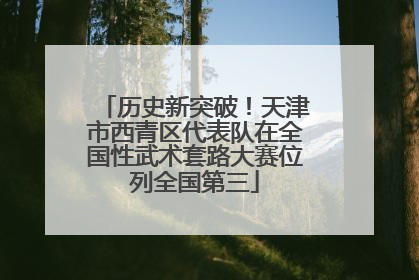 历史新突破！天津市西青区代表队在全国性武术套路大赛位列全国第三