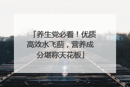 养生党必看！优质高效水飞蓟，营养成分堪称天花板