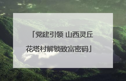 党建引领 山西灵丘花塔村解锁致富密码