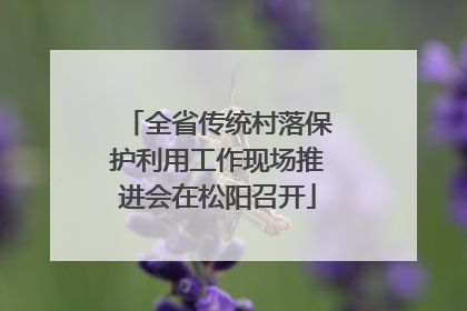 全省传统村落保护利用工作现场推进会在松阳召开