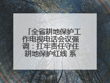 全省耕地保护工作电视电话会议强调：扛牢责任守住耕地保护红线 系统施治夯实粮食安全根基 王宁作出批示 王予波出席并讲话