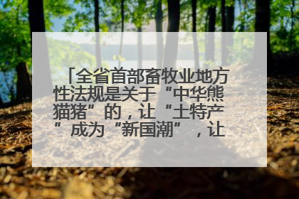 全省首部畜牧业地方性法规是关于“中华熊猫猪”的，让“土特产”成为“新国潮”，让“农产品”升格为“城市IP”