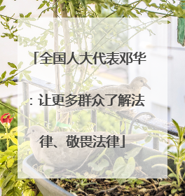 全国人大代表邓华：让更多群众了解法律、敬畏法律