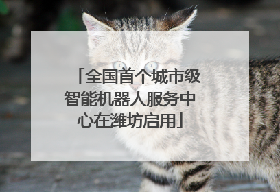 全国首个城市级智能机器人服务中心在潍坊启用