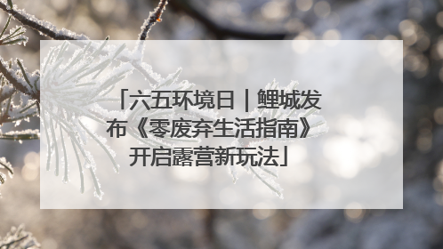 六五环境日｜鲤城发布《零废弃生活指南》开启露营新玩法