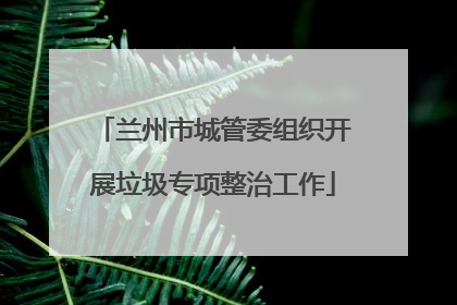 兰州市城管委组织开展垃圾专项整治工作