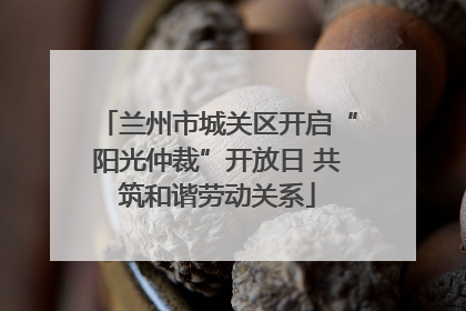 兰州市城关区开启“阳光仲裁”开放日 共筑和谐劳动关系