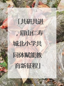 共研共进，眉山仁寿城北小学共同体赋能教育新征程