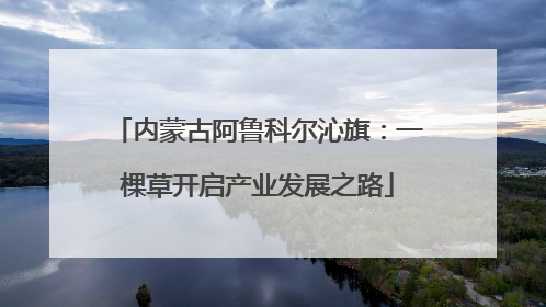 内蒙古阿鲁科尔沁旗：一棵草开启产业发展之路