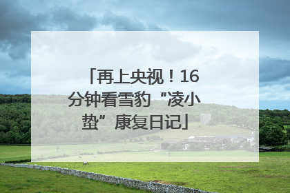 再上央视！16分钟看雪豹“凌小蛰”康复日记