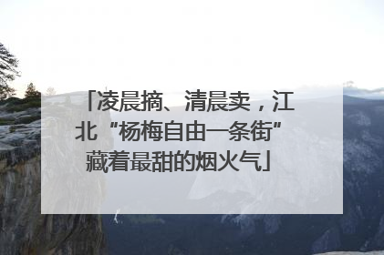 凌晨摘、清晨卖，江北“杨梅自由一条街”藏着最甜的烟火气