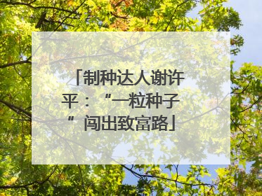 制种达人谢许平：“一粒种子”闯出致富路