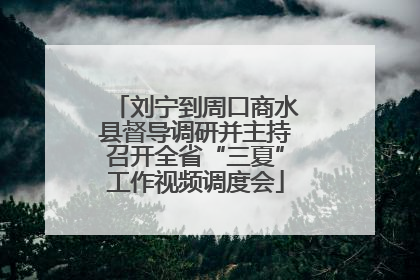 刘宁到周口商水县督导调研并主持召开全省“三夏”工作视频调度会