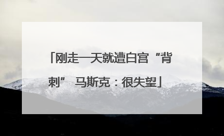 刚走一天就遭白宫“背刺” 马斯克：很失望
