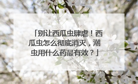 别让西瓜虫肆虐！西瓜虫怎么彻底消灭，潮虫用什么药最有效？
