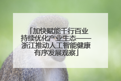 加快赋能千行百业 持续优化产业生态——浙江推动人工智能健康有序发展观察