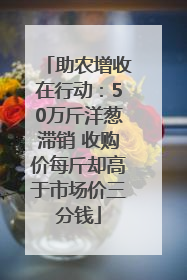 助农增收在行动：50万斤洋葱滞销 收购价每斤却高于市场价三分钱