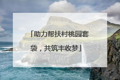 助力帮扶村桃园套袋，共筑丰收梦