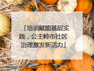 培训赋能基层实践，公主岭市社区治理激发新活力