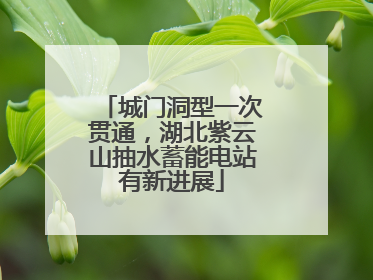 城门洞型一次贯通，湖北紫云山抽水蓄能电站有新进展