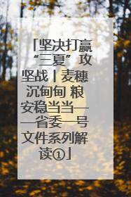 坚决打赢“三夏”攻坚战丨麦穗沉甸甸 粮安稳当当——省委一号文件系列解读①