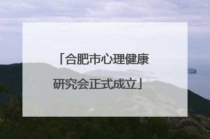 合肥市心理健康研究会正式成立