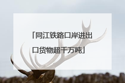 同江铁路口岸进出口货物超千万吨