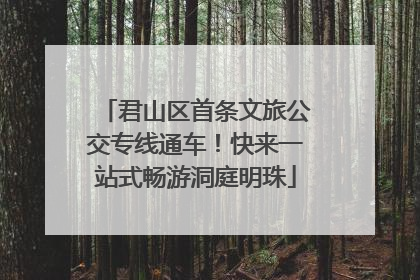 君山区首条文旅公交专线通车！快来一站式畅游洞庭明珠
