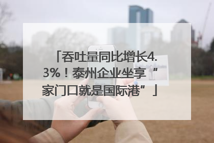 吞吐量同比增长4.3%！泰州企业坐享“家门口就是国际港”