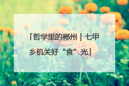 哲学里的郴州｜七甲乡机关好“食”光
