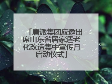 唐派集团应邀出席山东省居家适老化改造集中宣传月启动仪式