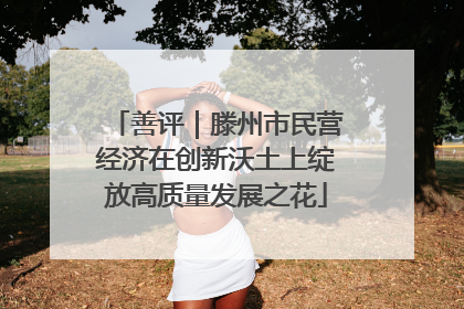 善评｜滕州市民营经济在创新沃土上绽放高质量发展之花