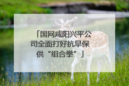国网咸阳兴平公司全面打好抗旱保供“组合拳”