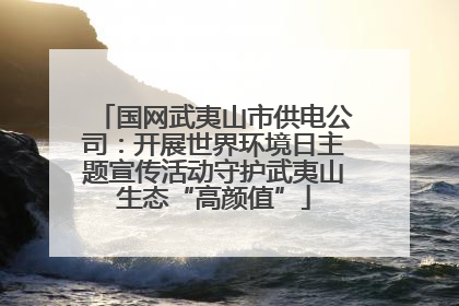 国网武夷山市供电公司：开展世界环境日主题宣传活动守护武夷山生态“高颜值”