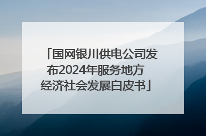 国网银川供电公司发布2024年服务地方经济社会发展白皮书